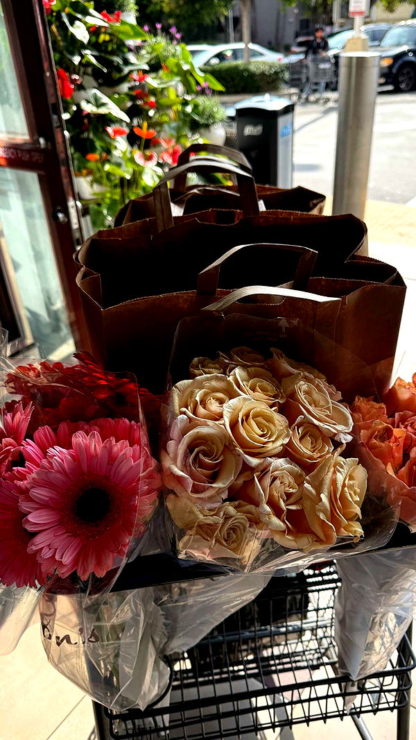 mbuccola97 image ~ Altpins