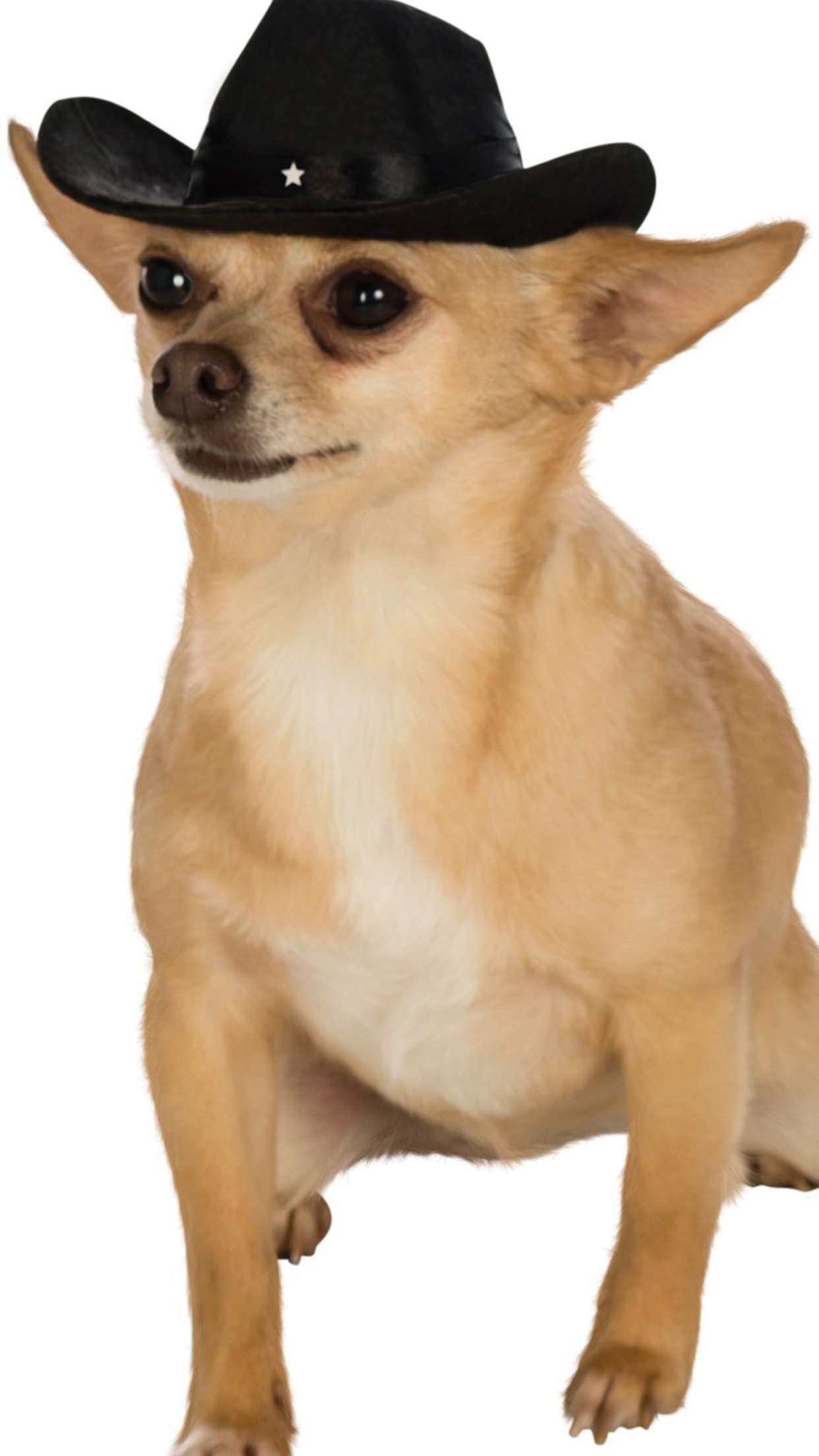 mbuccola97 snapchat image archive image