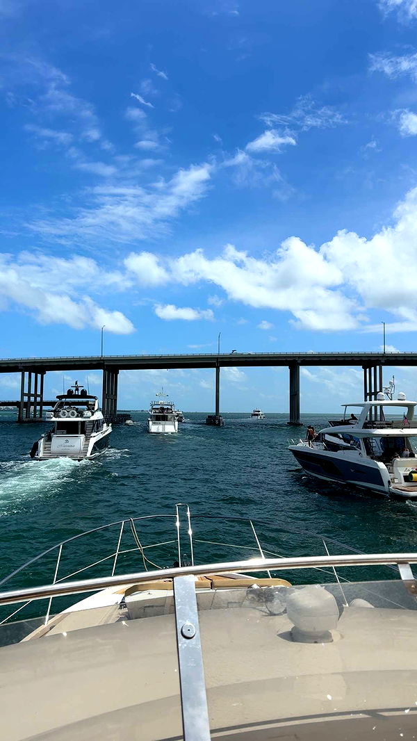 mbuccola97 image ~ Altpins