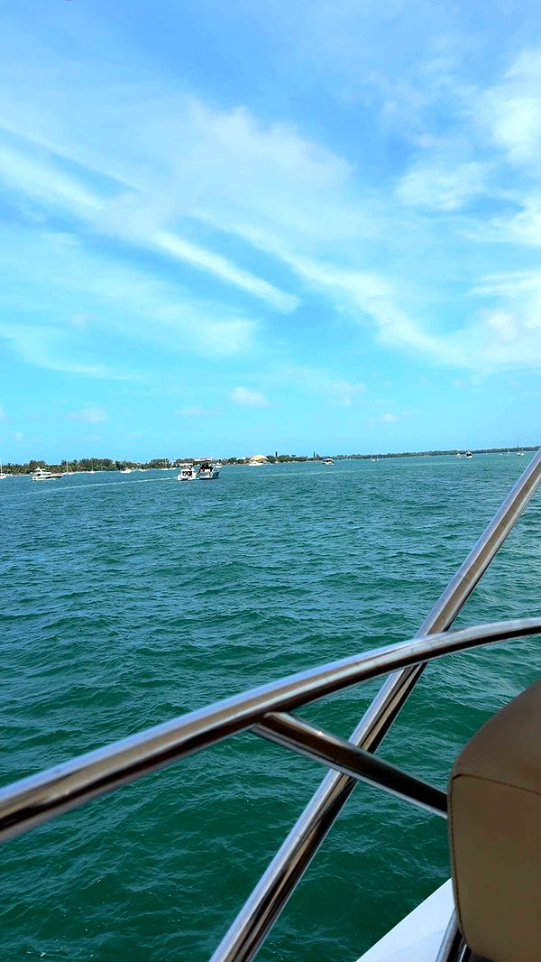 mbuccola97 image ~ Altpins