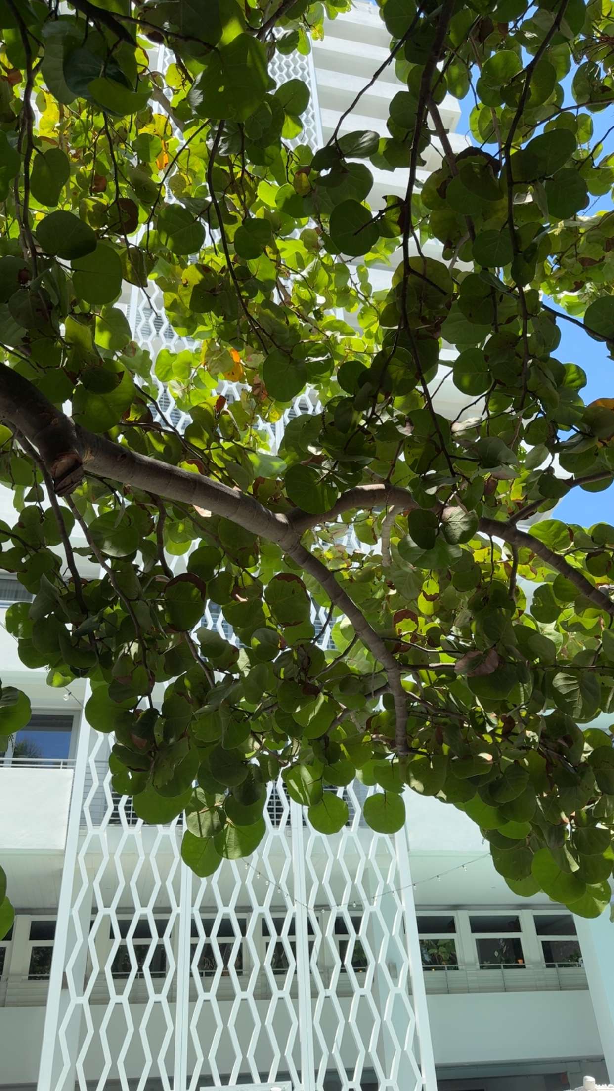 mbuccola97 snapchat image archive image