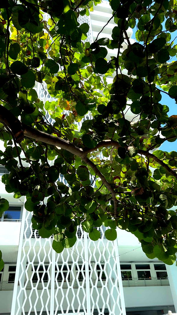 mbuccola97 image ~ Altpins