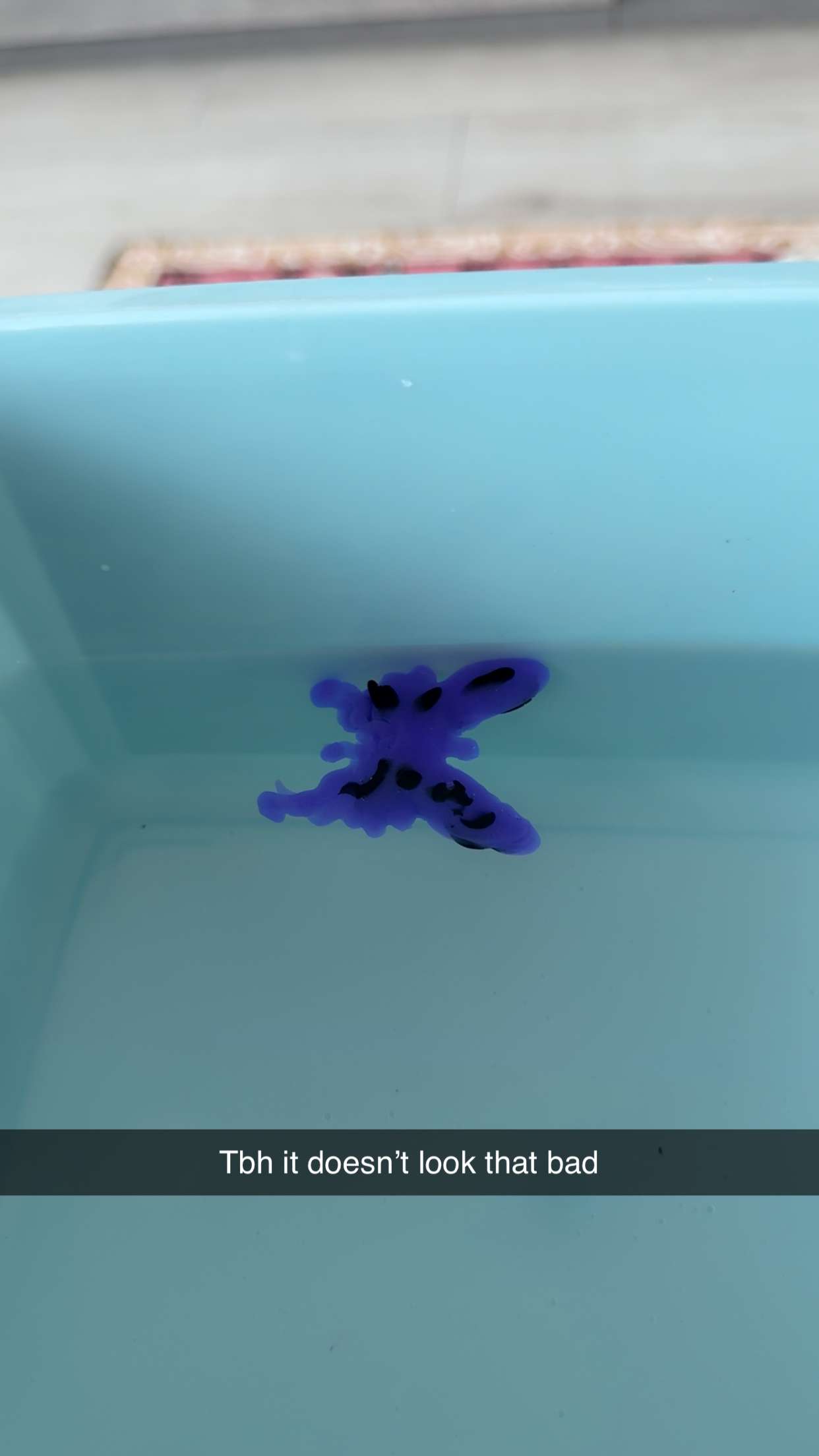 mbuccola97 snapchat image archive image