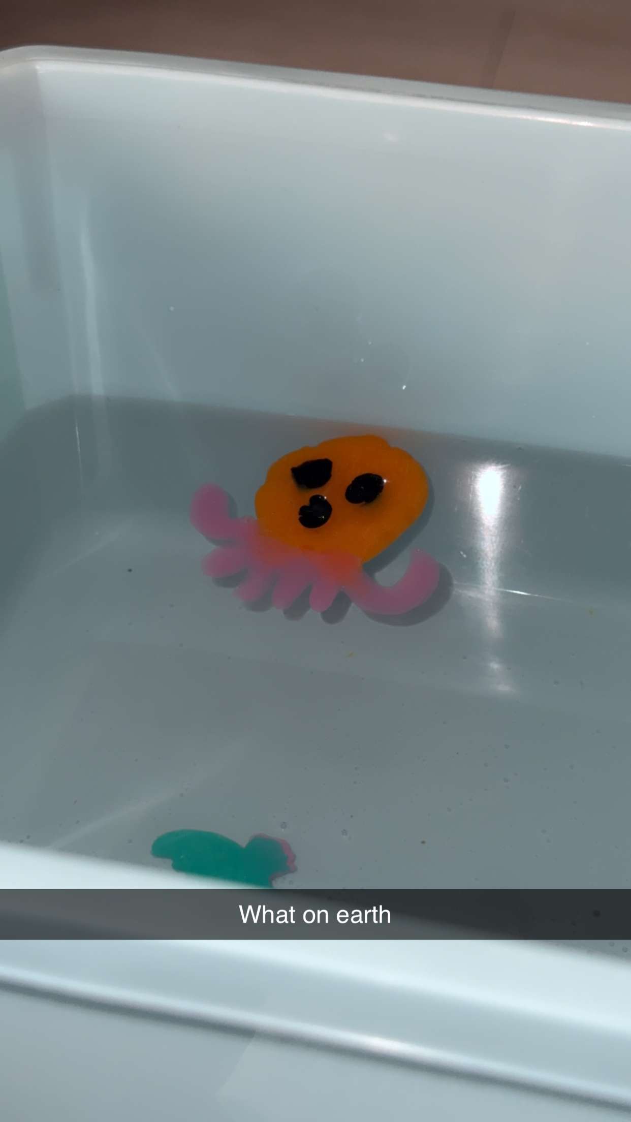 mbuccola97 snapchat image archive image