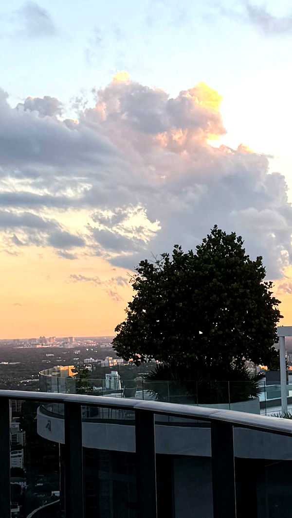 mbuccola97 image ~ Altpins