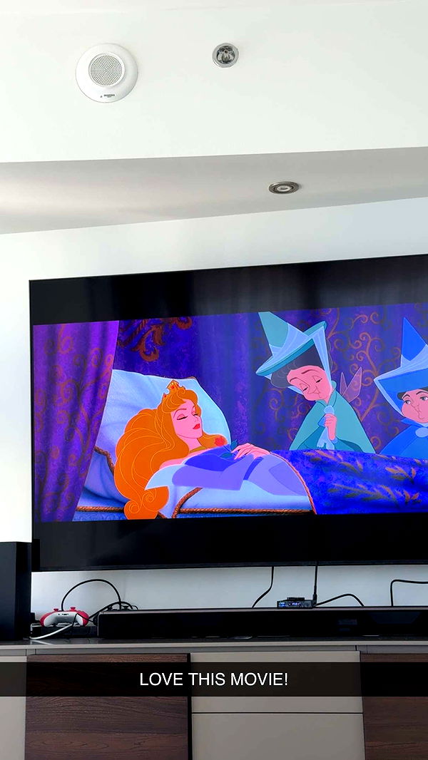 mbuccola97 image ~ Altpins