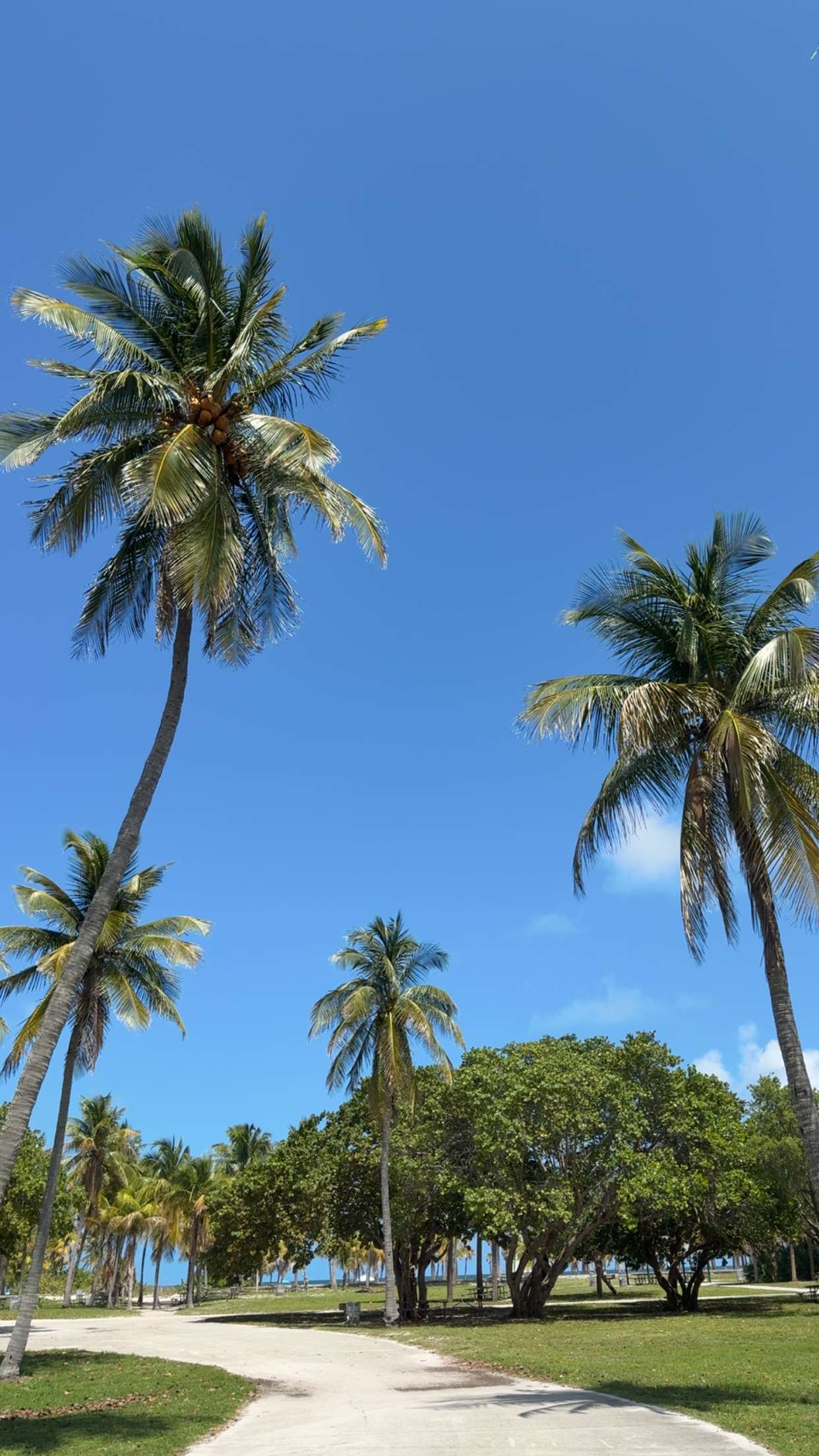 mbuccola97 snapchat image archive image