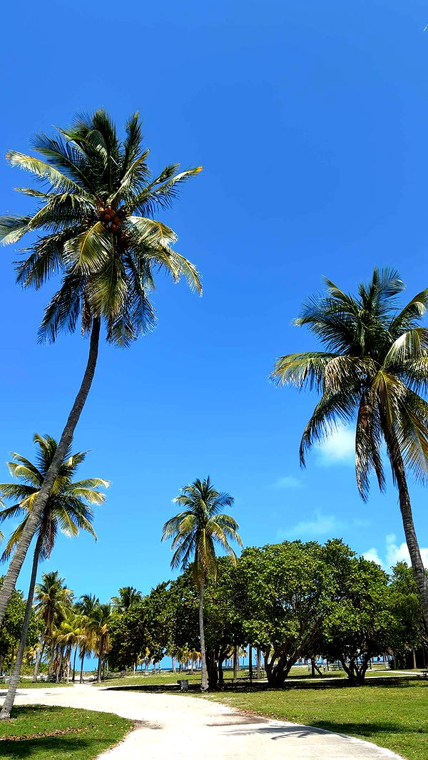 mbuccola97 image ~ Altpins