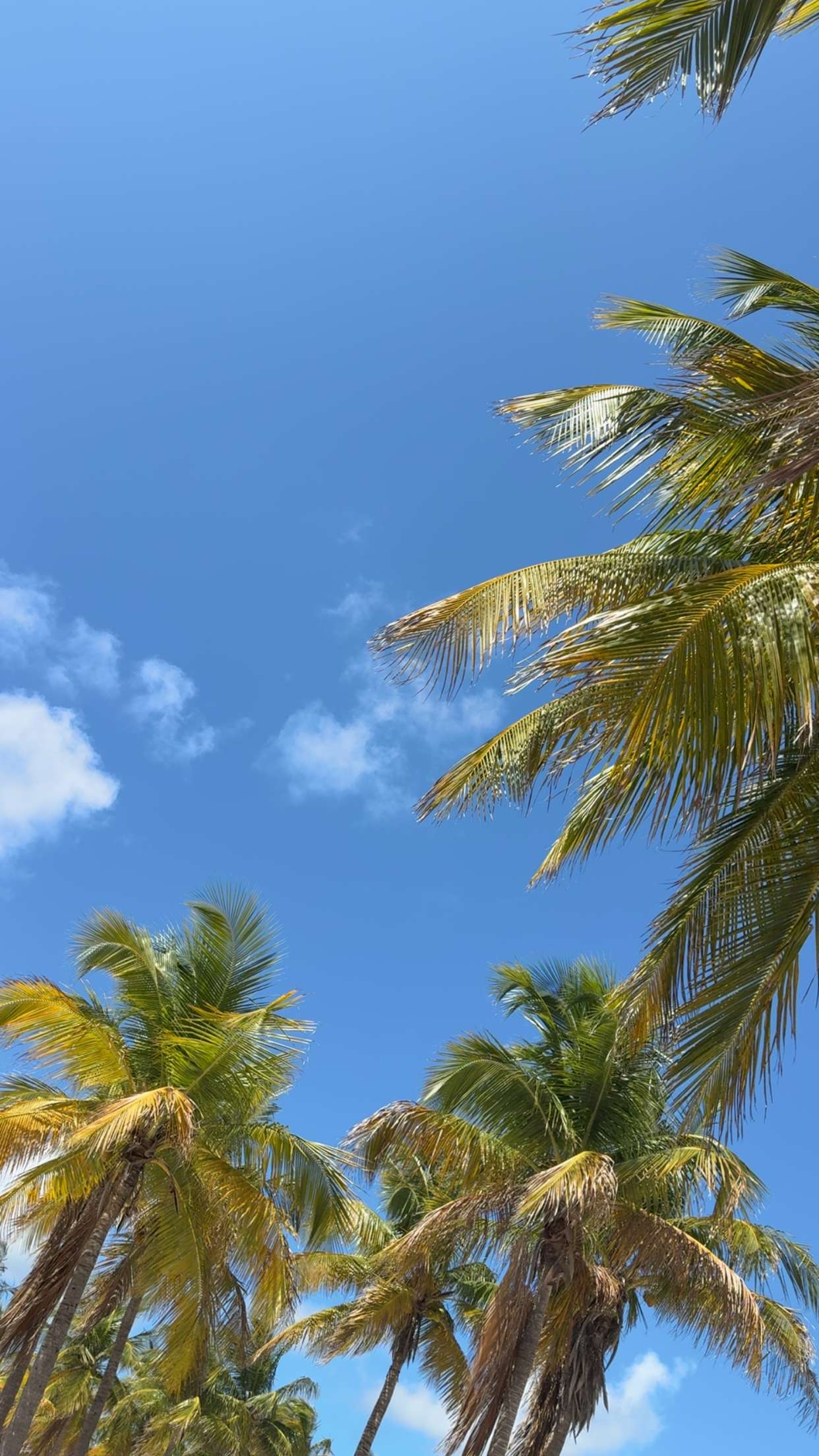 mbuccola97 snapchat image archive image