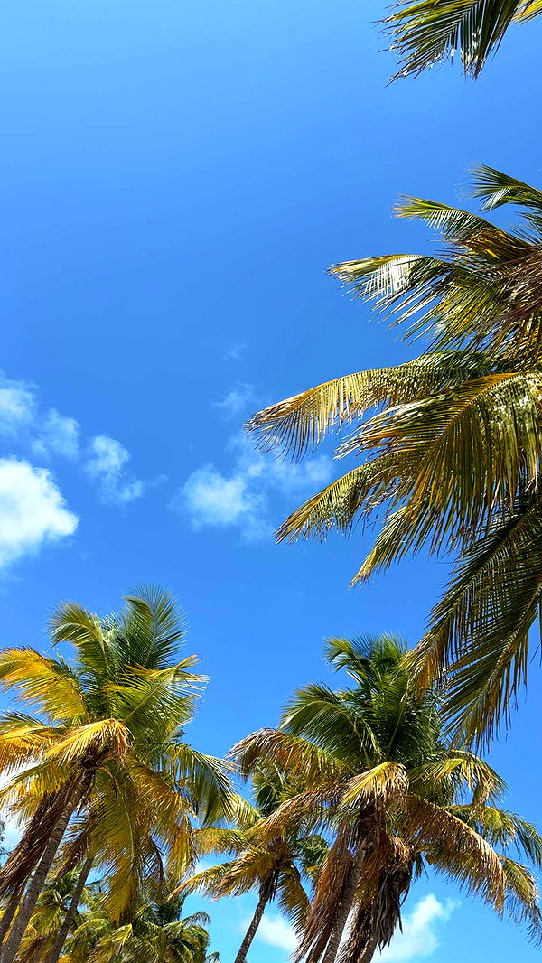 mbuccola97 image ~ Altpins