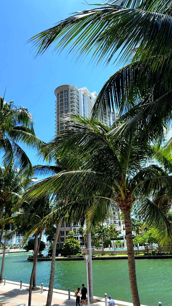 mbuccola97 image ~ Altpins