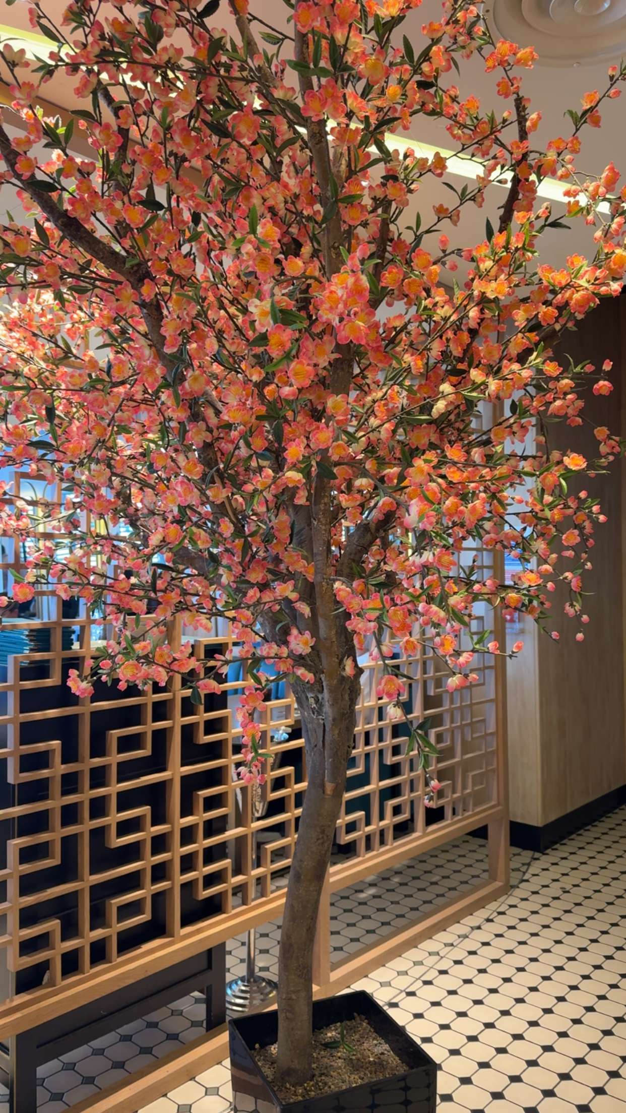 mbuccola97 snapchat image archive image