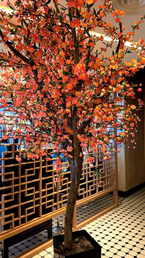 mbuccola97 image ~ Altpins