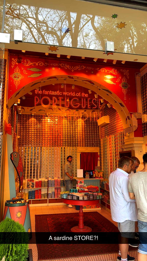 mbuccola97 image ~ Altpins