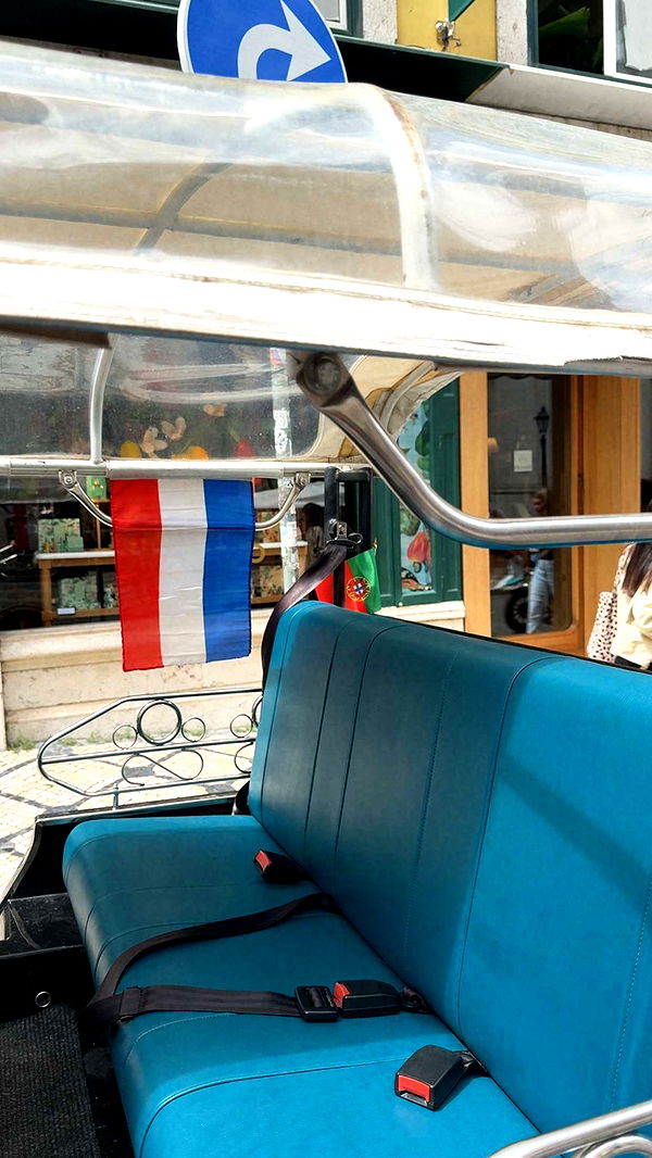 mbuccola97 image ~ Altpins