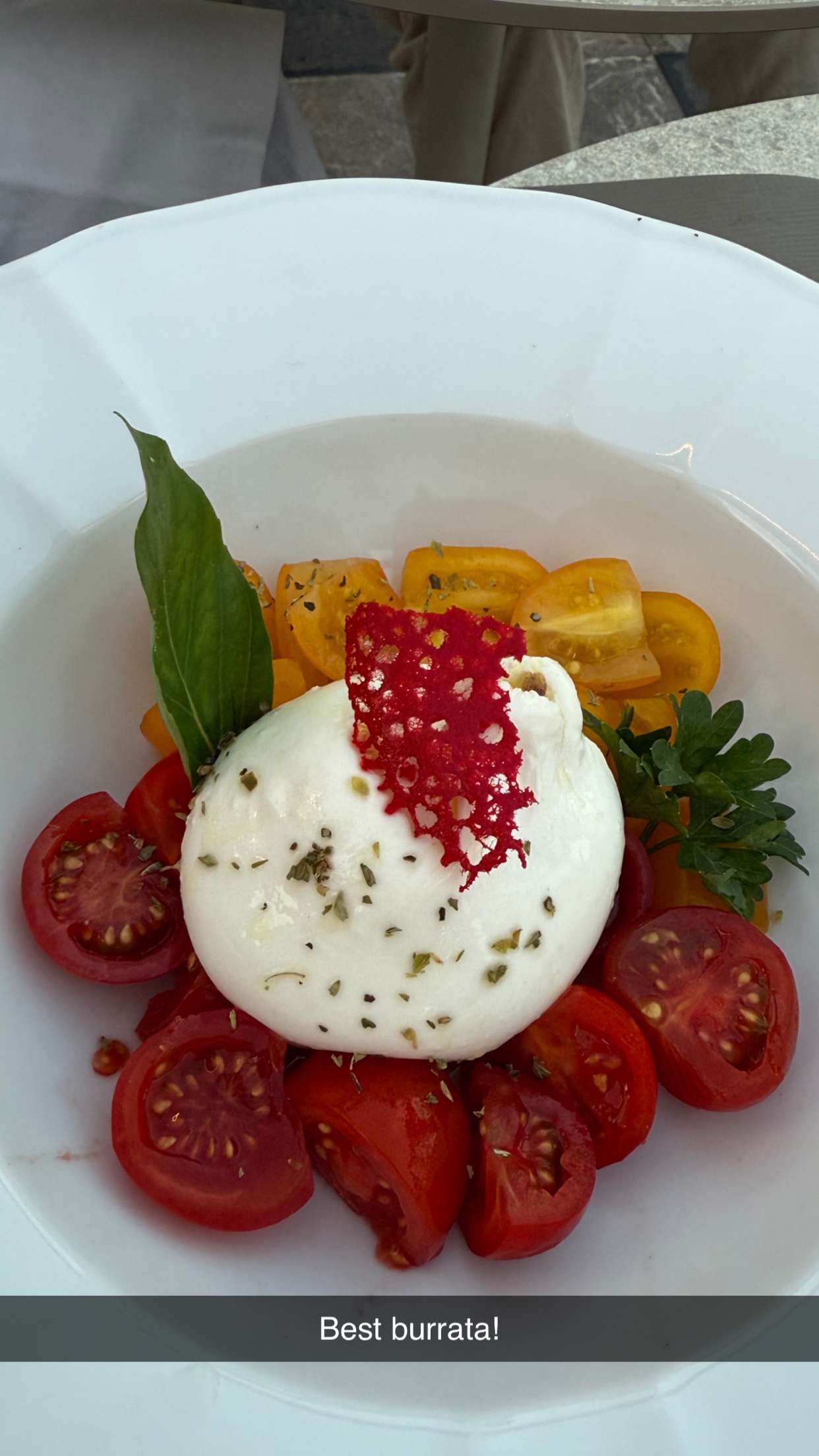 mbuccola97 snapchat image archive image