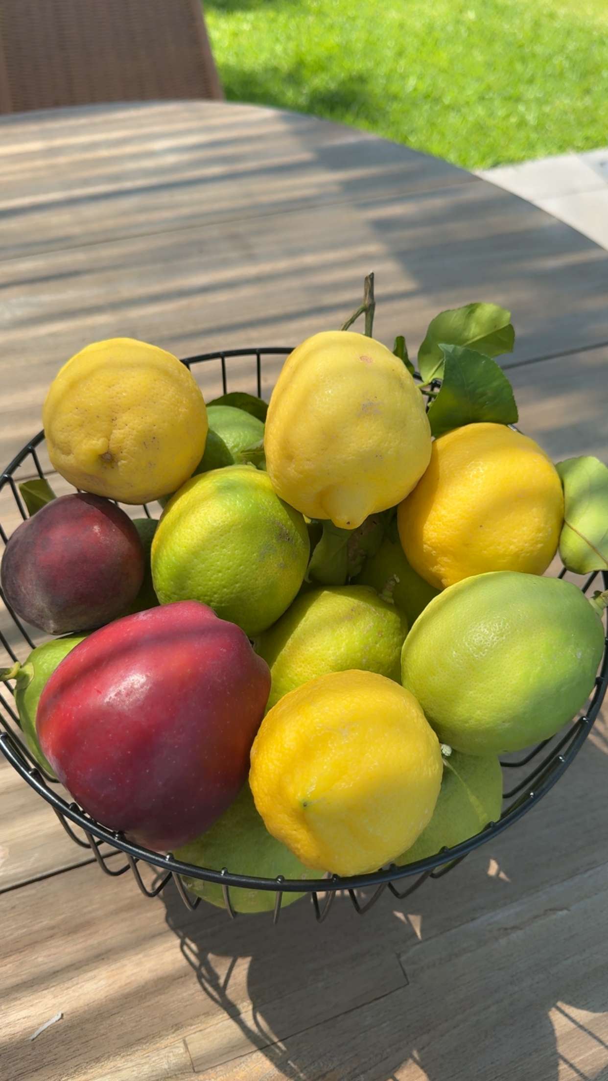 mbuccola97 snapchat image archive image