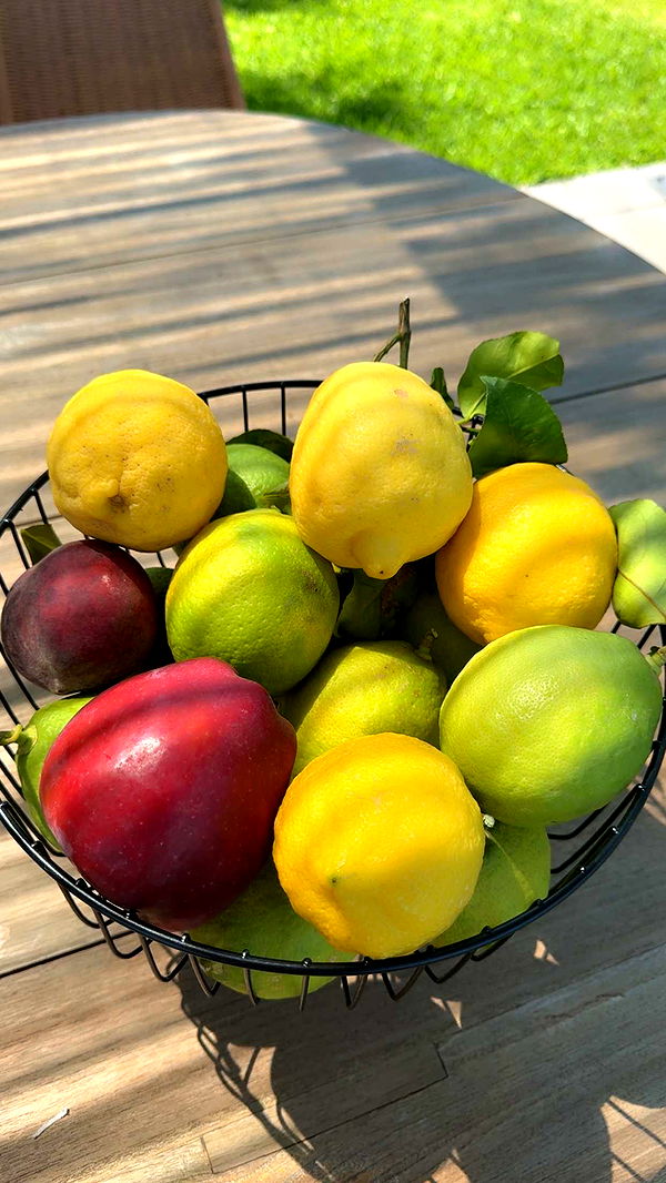 mbuccola97 image ~ Altpins