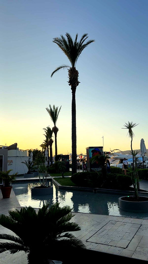 mbuccola97 image ~ Altpins