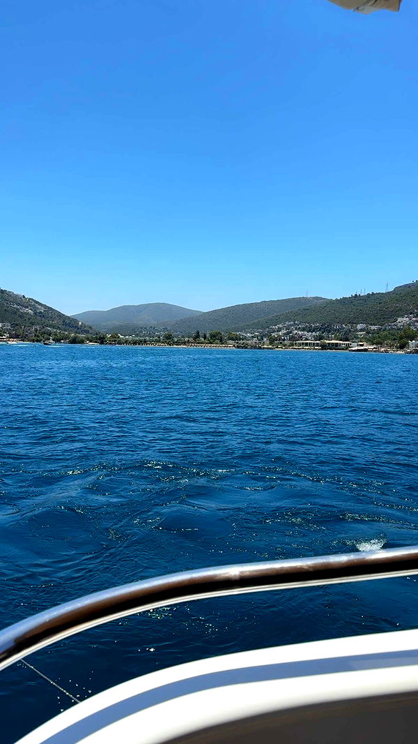 mbuccola97 image ~ Altpins