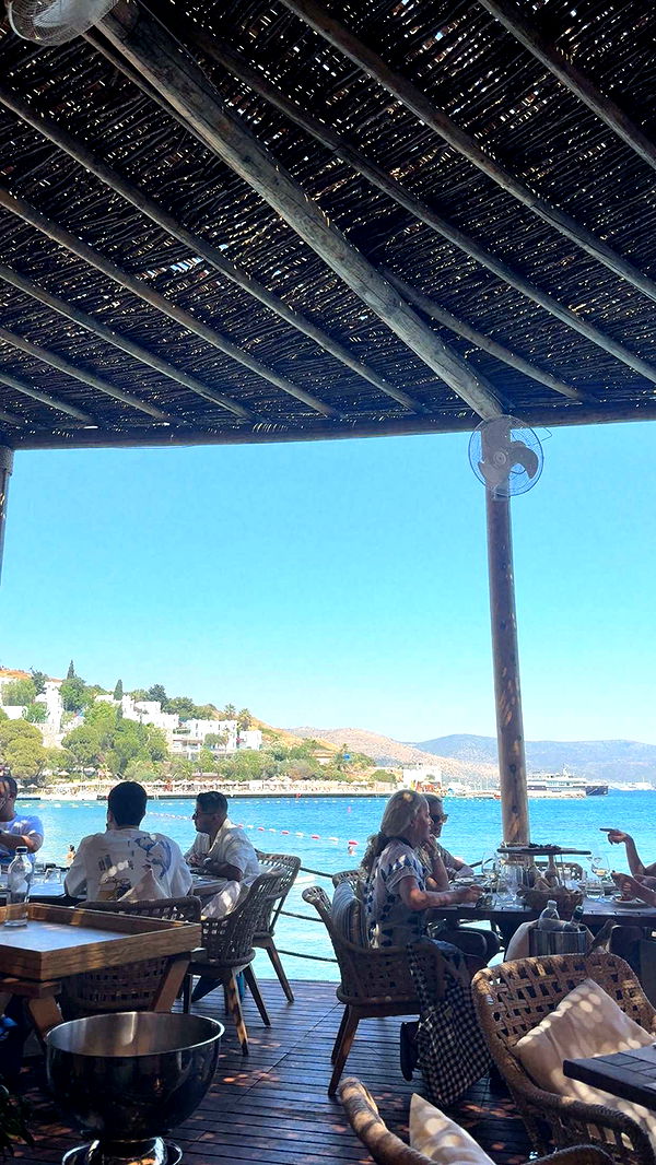 mbuccola97 image ~ Altpins