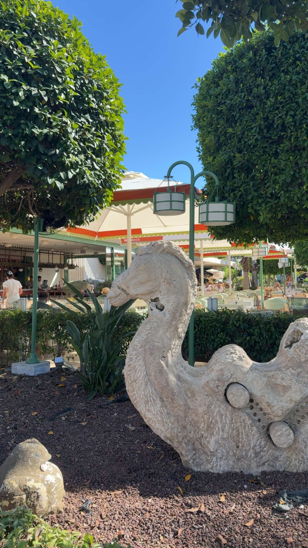 mbuccola97 snapchat image archive image