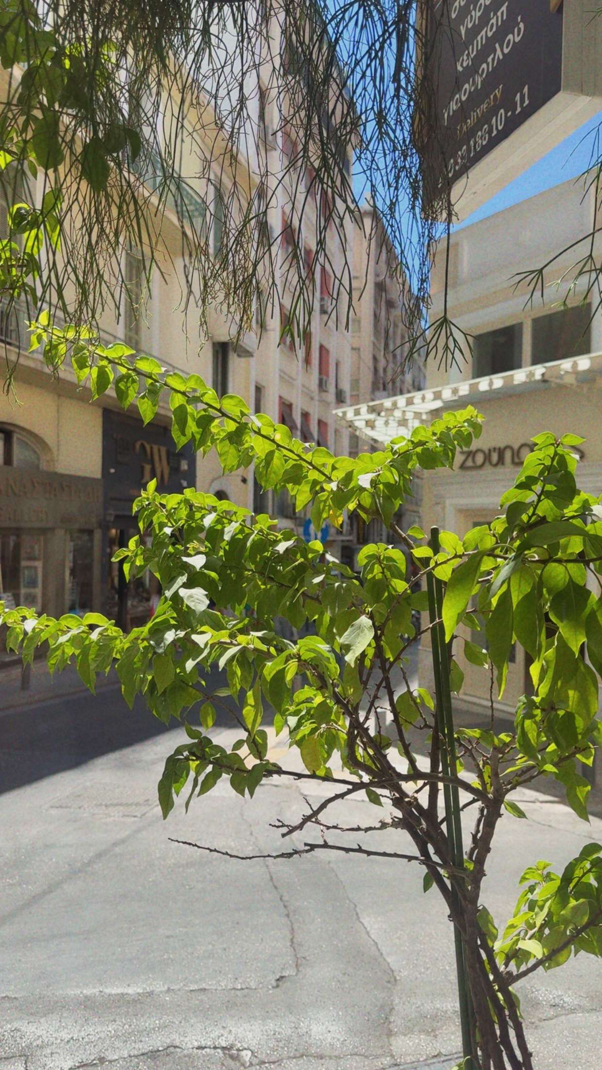 mbuccola97 snapchat image archive image