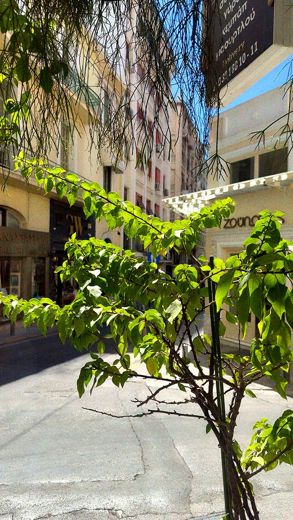 mbuccola97 image ~ Altpins