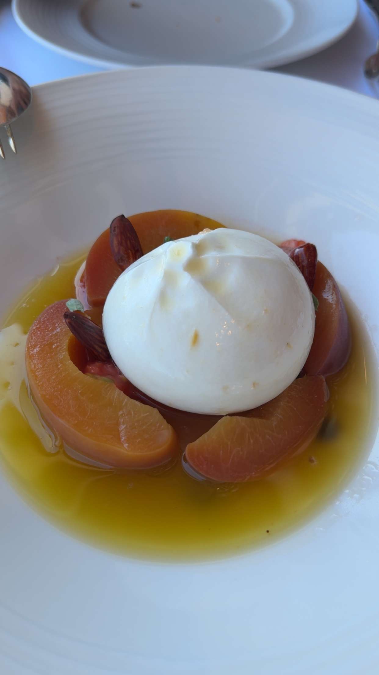 mbuccola97 snapchat image archive image