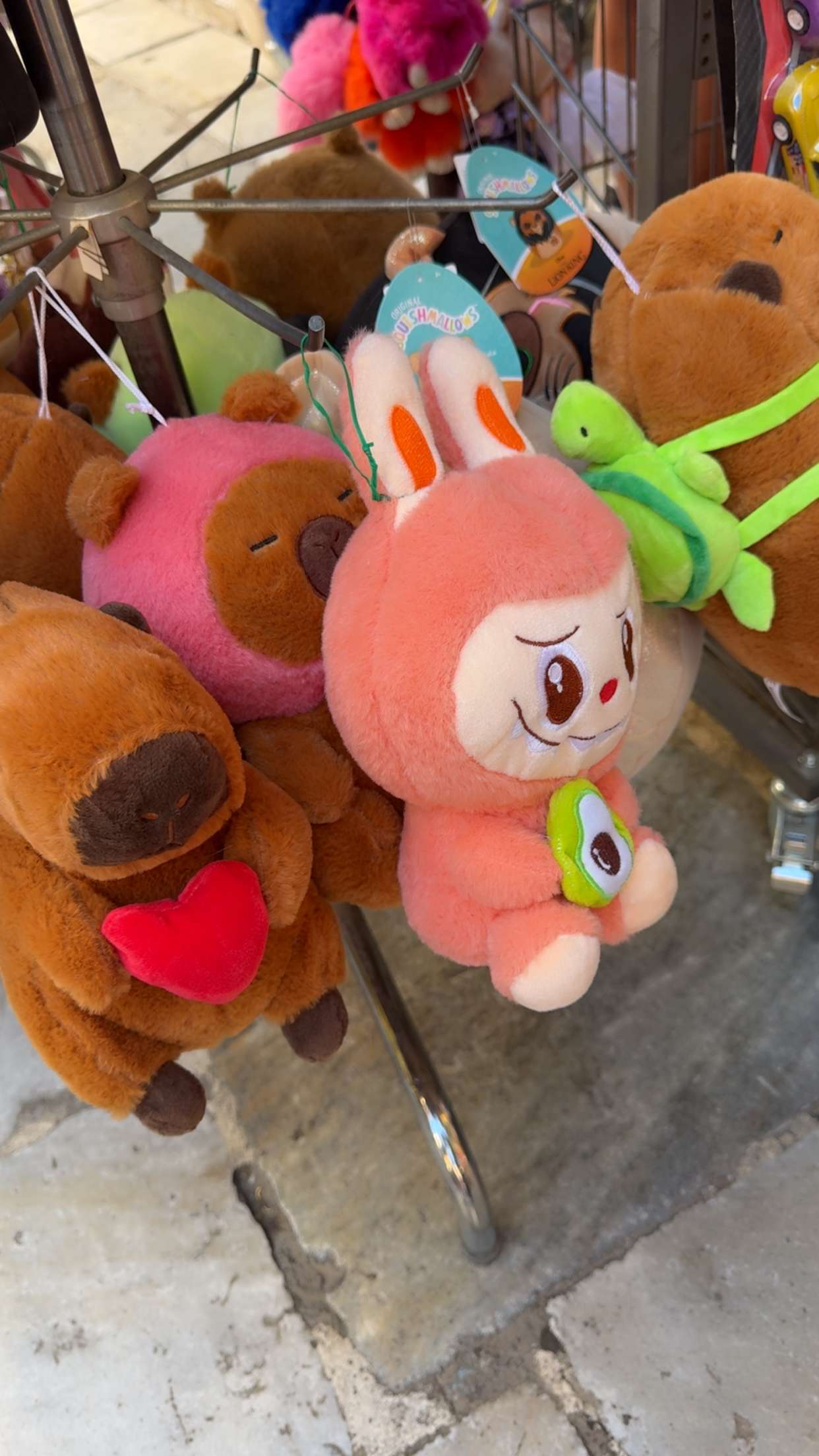 mbuccola97 snapchat image archive image