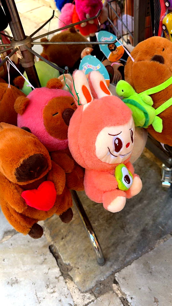 mbuccola97 image ~ Altpins