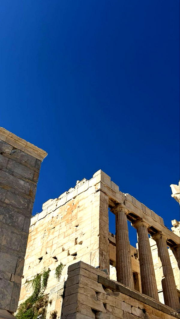 mbuccola97 image ~ Altpins