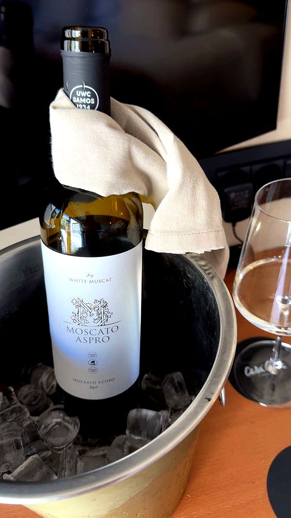 mbuccola97 image ~ Altpins