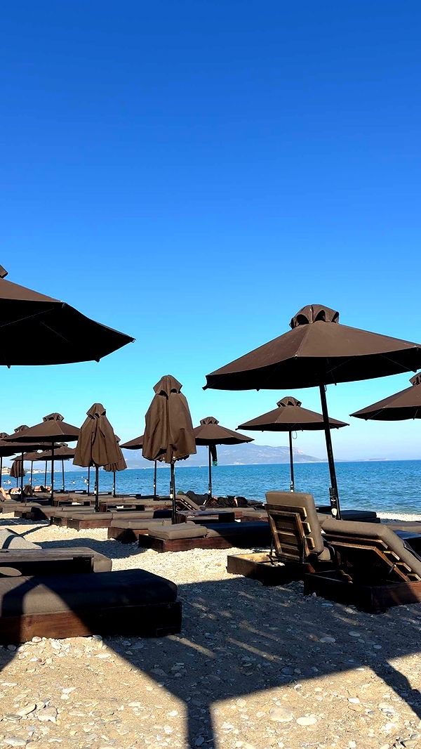 mbuccola97 image ~ Altpins