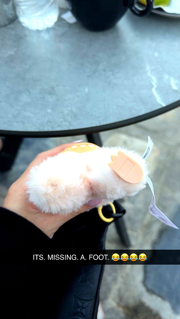 mbuccola97 image ~ Altpins