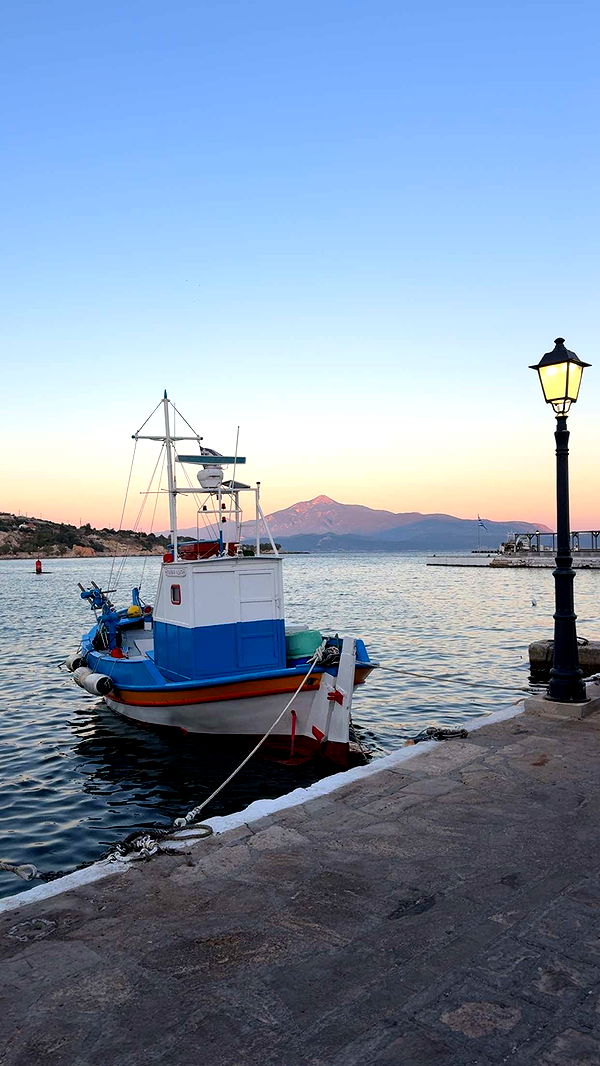 mbuccola97 image ~ Altpins