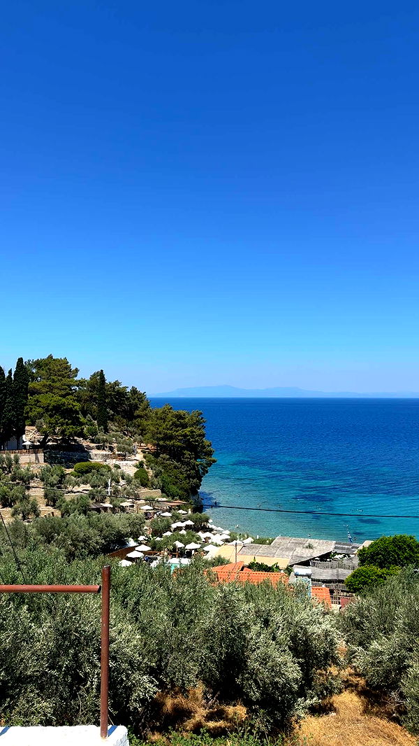 mbuccola97 image ~ Altpins