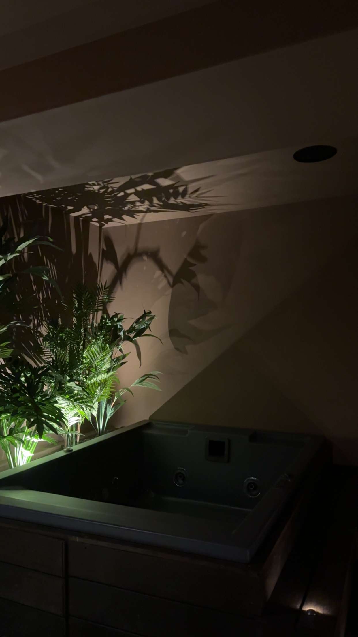 mbuccola97 snapchat image archive image