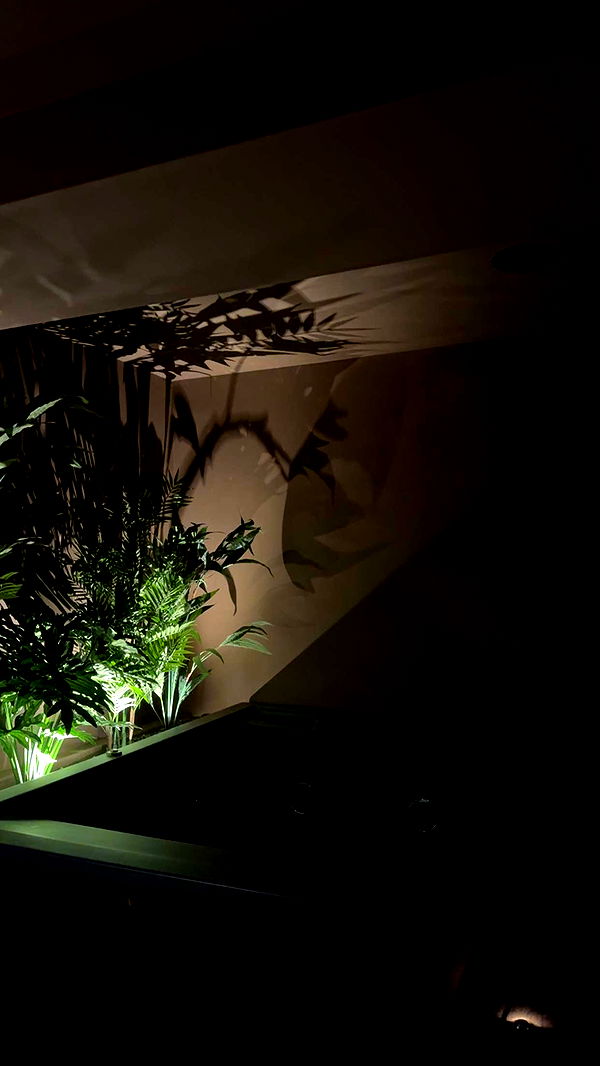 mbuccola97 image ~ Altpins