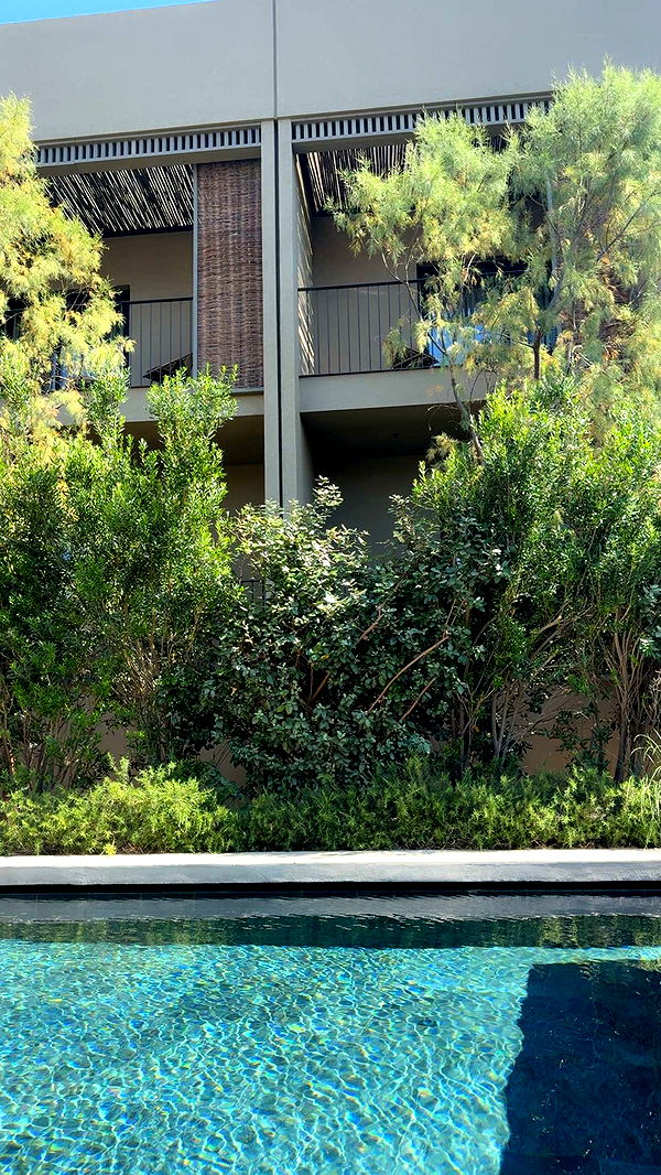 mbuccola97 image ~ Altpins