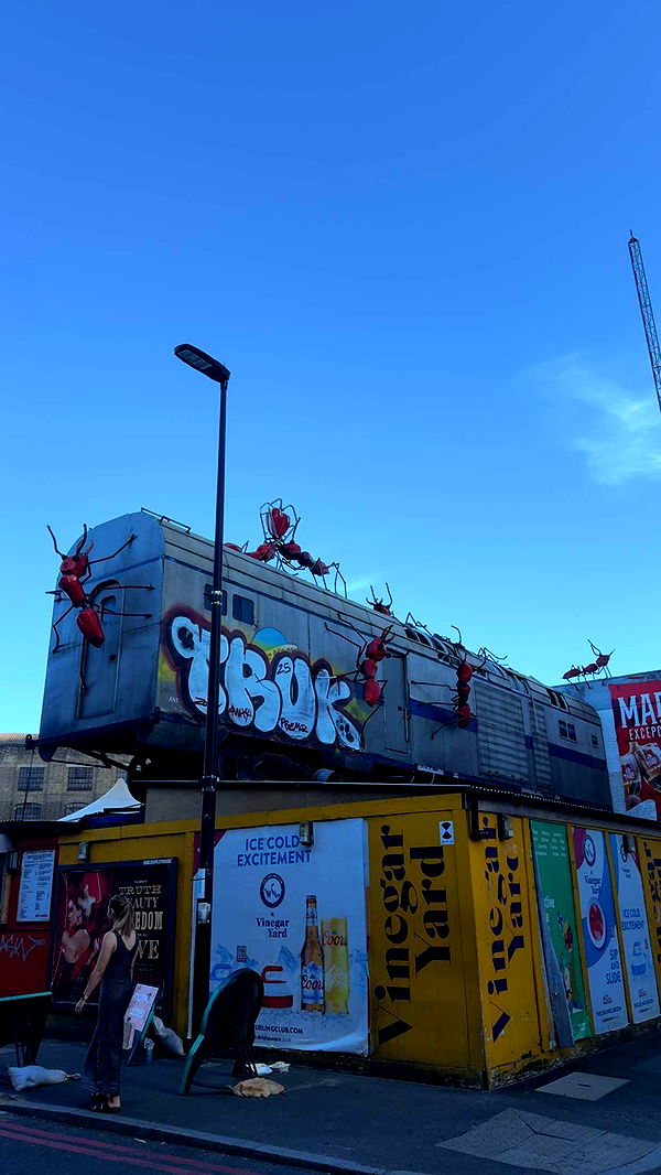 mbuccola97 image ~ Altpins