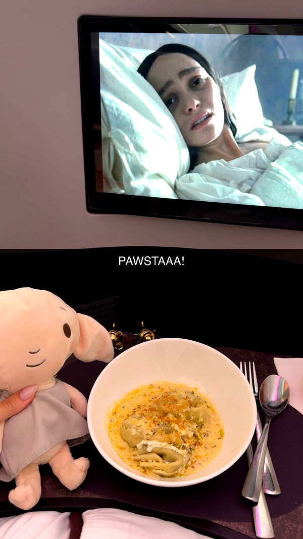 mbuccola97 image ~ Altpins