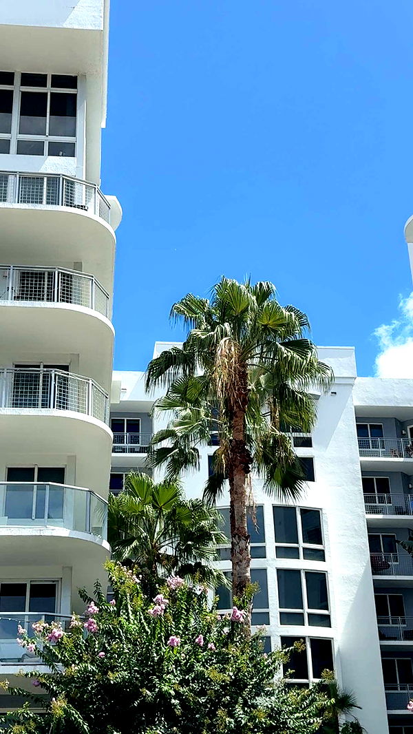 mbuccola97 image ~ Altpins