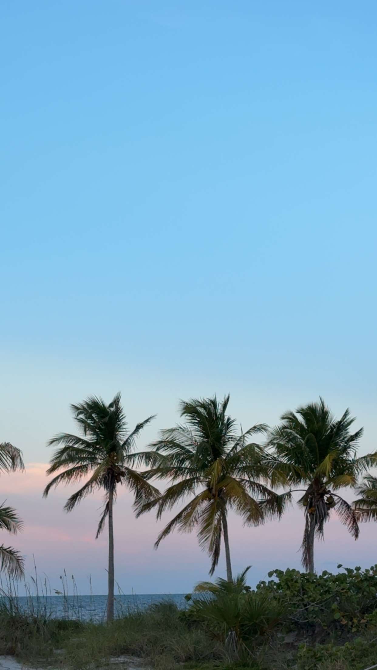 mbuccola97 snapchat image archive image