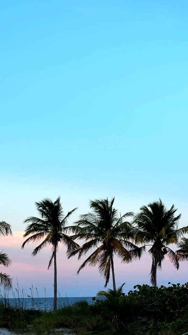 mbuccola97 image ~ Altpins