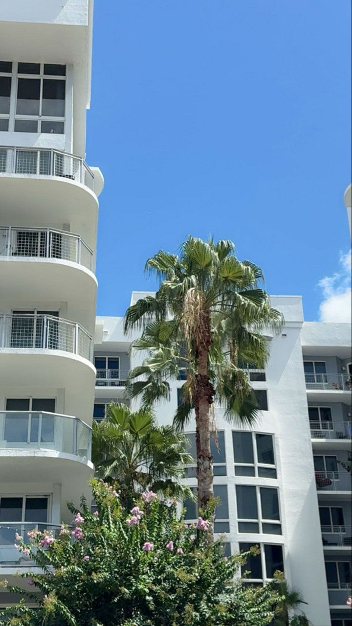 mbuccola97 snapchat image archive image