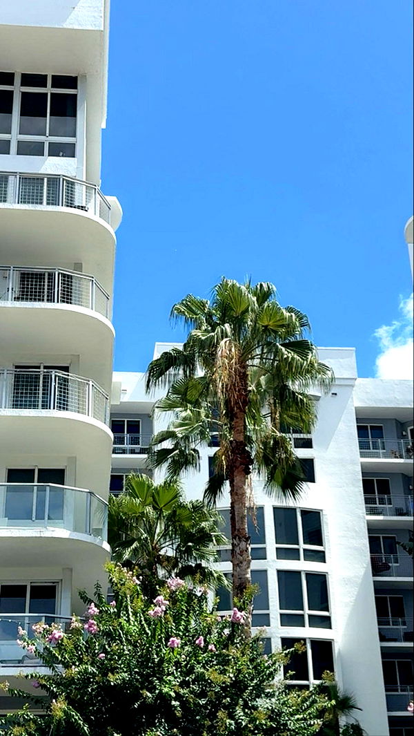 mbuccola97 image ~ Altpins