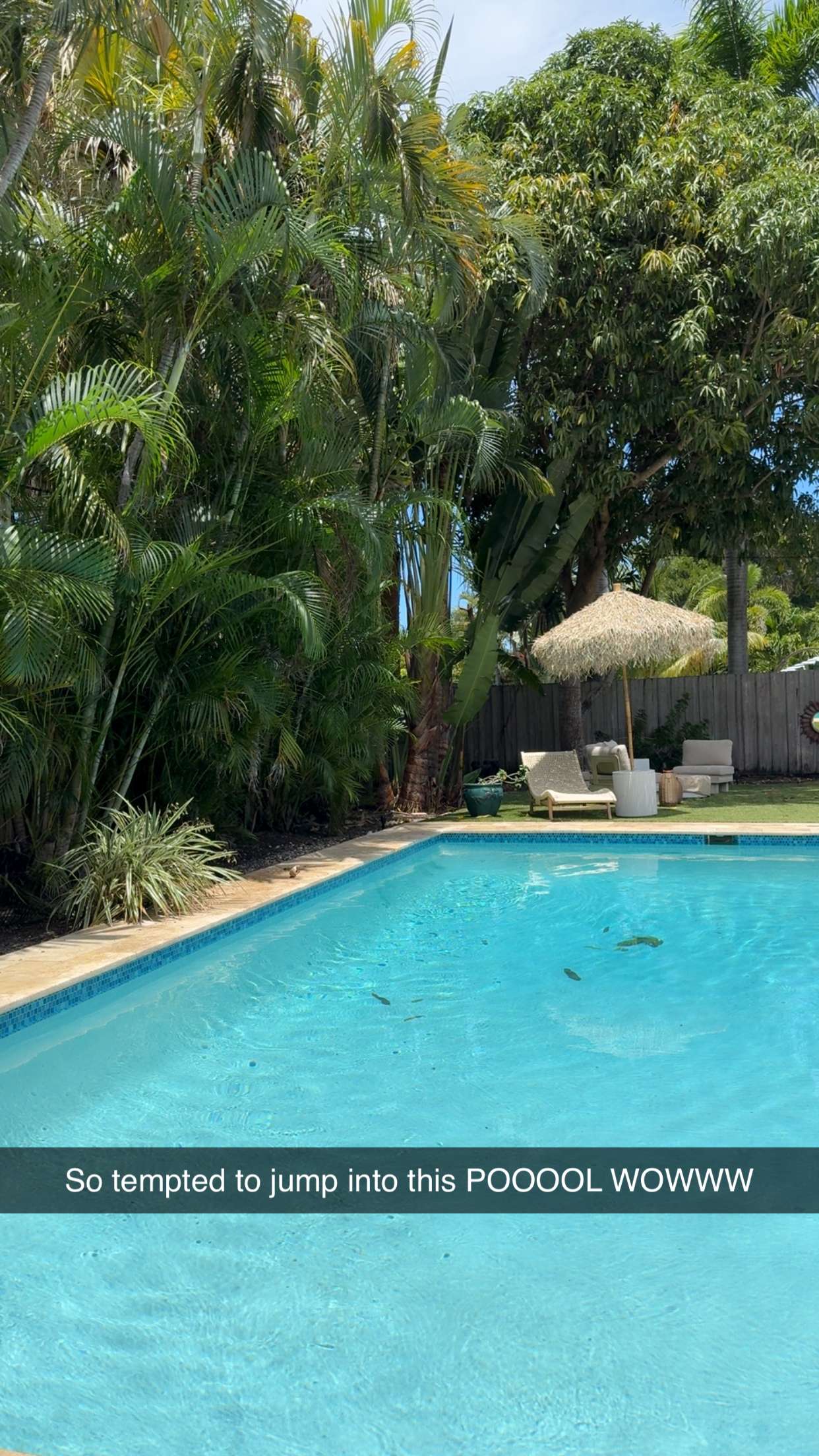 mbuccola97 snapchat image archive image