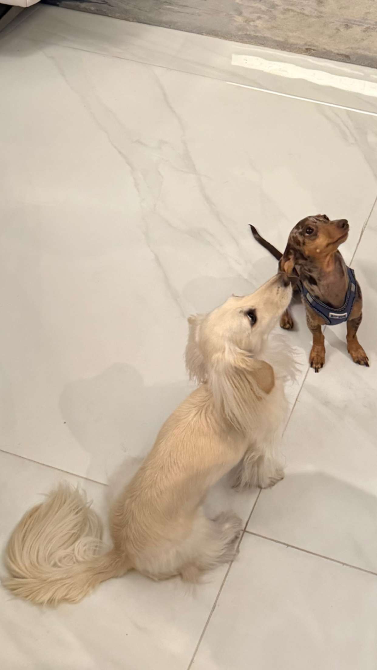 mbuccola97 snapchat image archive image