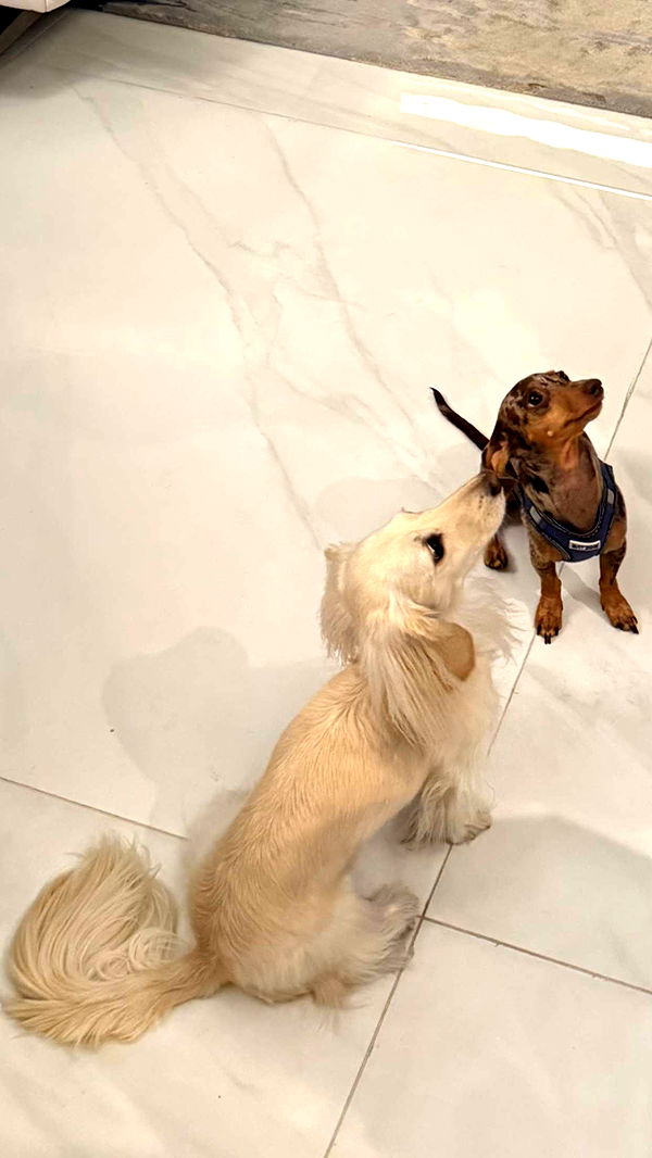 mbuccola97 image ~ Altpins